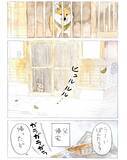 「【犬あるある】散歩だと思ったら…　漫画で描く『柴犬の不満』に「すべてが愛おしい」」の画像5