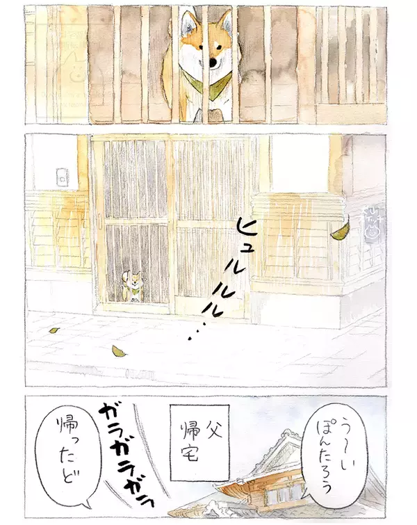 「【犬あるある】散歩だと思ったら…　漫画で描く『柴犬の不満』に「すべてが愛おしい」」の画像