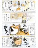 「【犬あるある】散歩だと思ったら…　漫画で描く『柴犬の不満』に「すべてが愛おしい」」の画像6