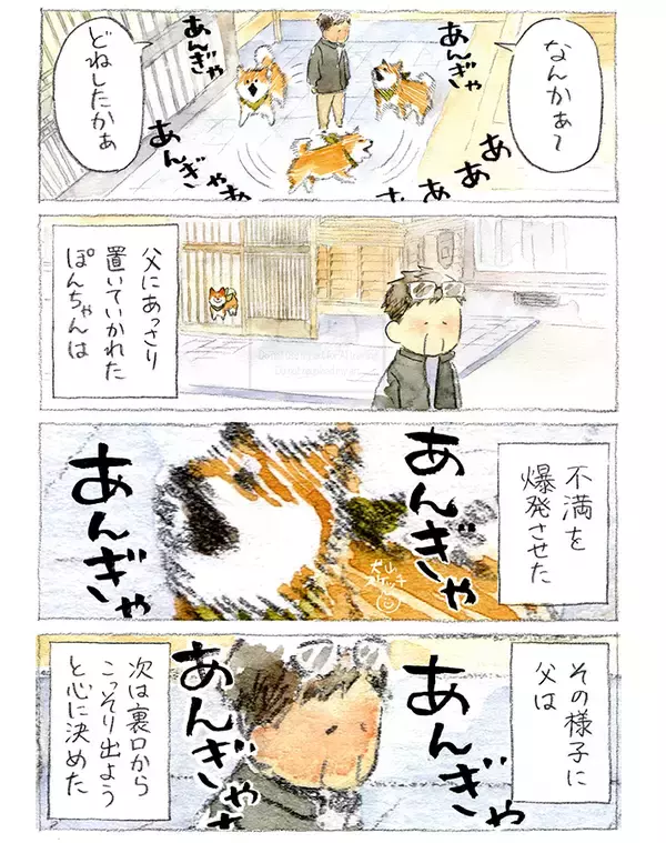 「【犬あるある】散歩だと思ったら…　漫画で描く『柴犬の不満』に「すべてが愛おしい」」の画像