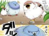 「【2万いいね】転びそうなスズメを『鳩胸』で助けたハト　その後の展開にクスッ！」の画像1