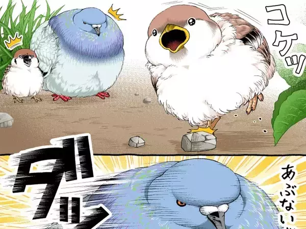 【2万いいね】転びそうなスズメを『鳩胸』で助けたハト　その後の展開にクスッ！