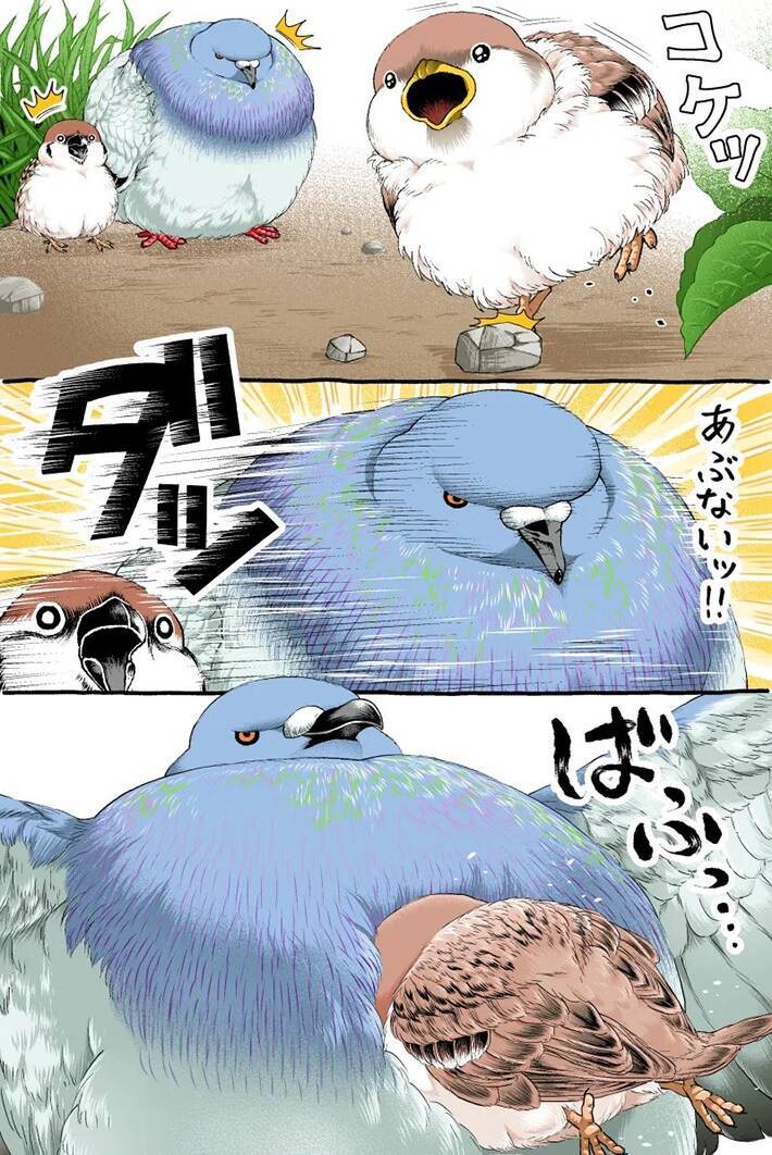 【2万いいね】転びそうなスズメを『鳩胸』で助けたハト　その後の展開にクスッ！