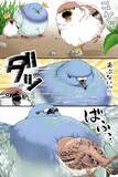 「【2万いいね】転びそうなスズメを『鳩胸』で助けたハト　その後の展開にクスッ！」の画像2