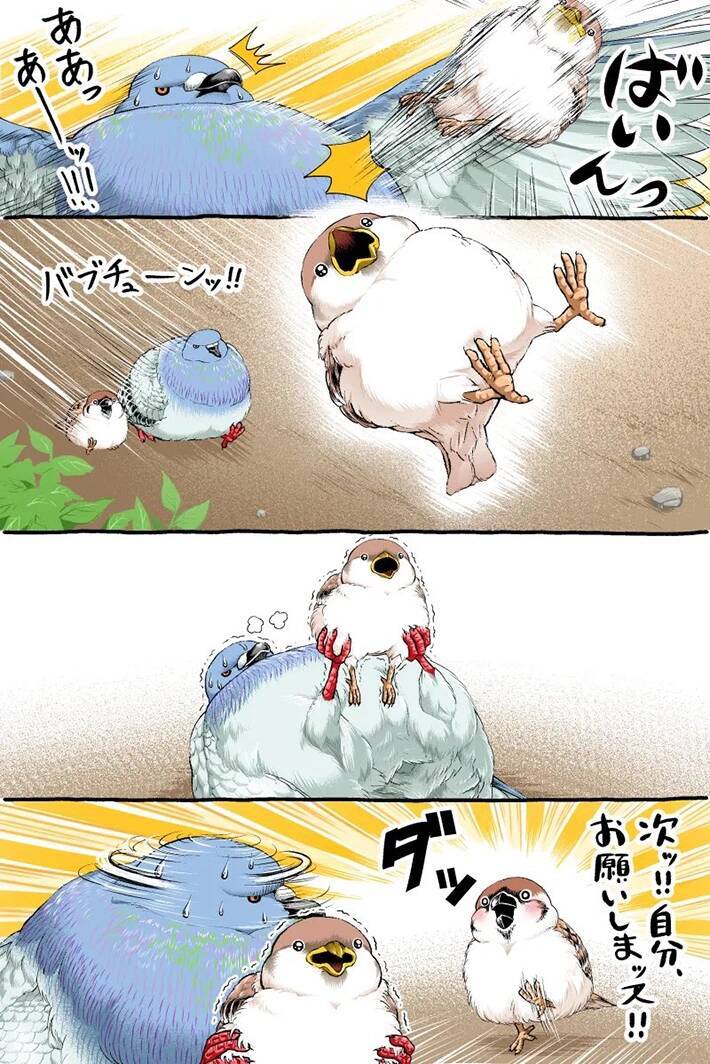 【2万いいね】転びそうなスズメを『鳩胸』で助けたハト　その後の展開にクスッ！