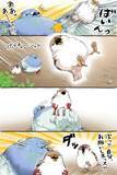 「【2万いいね】転びそうなスズメを『鳩胸』で助けたハト　その後の展開にクスッ！」の画像3