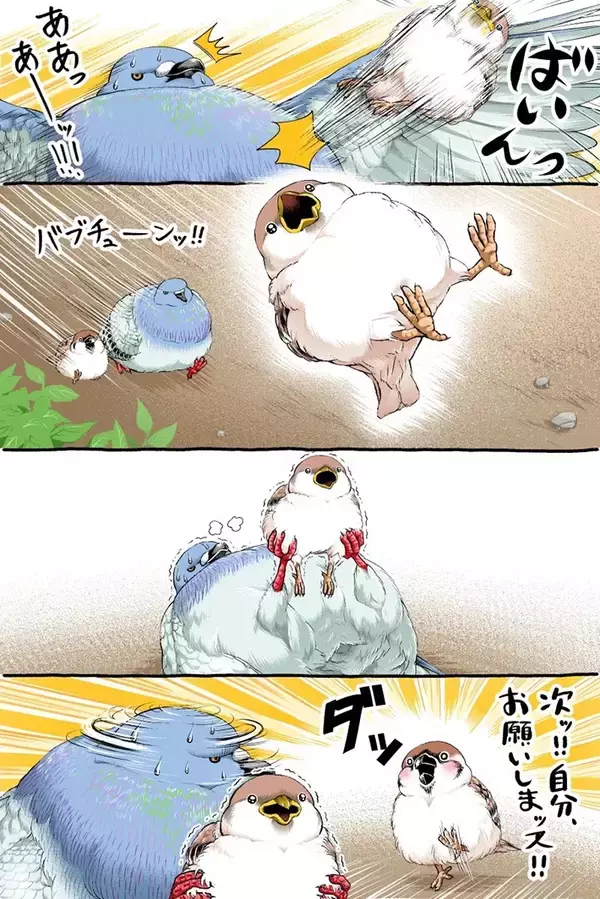 「【2万いいね】転びそうなスズメを『鳩胸』で助けたハト　その後の展開にクスッ！」の画像