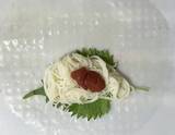 「そうめんと薬味を一緒に食べたい！　包んでみたら「食べ応え抜群」「おにぎりみたい」」の画像4