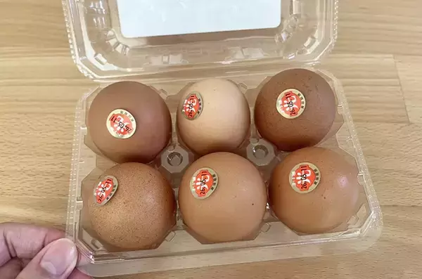 「出汁も醤油も使いません！　作った玉子焼きに、家族が「味が濃くておいしい！」」の画像