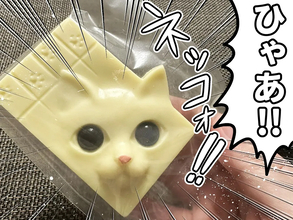 まるで本物？ 友人から貰ったチョコがリアルすぎて食べられない【漫画】