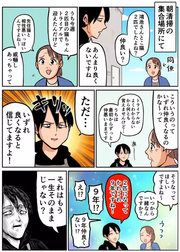 「「猫同士は仲良い？」飼い主が仲悪いことを伝えると…展開に「笑った」「至極真っ当な意見」【エッセイ漫画】」の画像