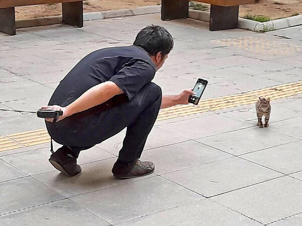 やんのかポーズ する猫を撮っていると 後ろで待っていたのは 22年6月3日 エキサイトニュース