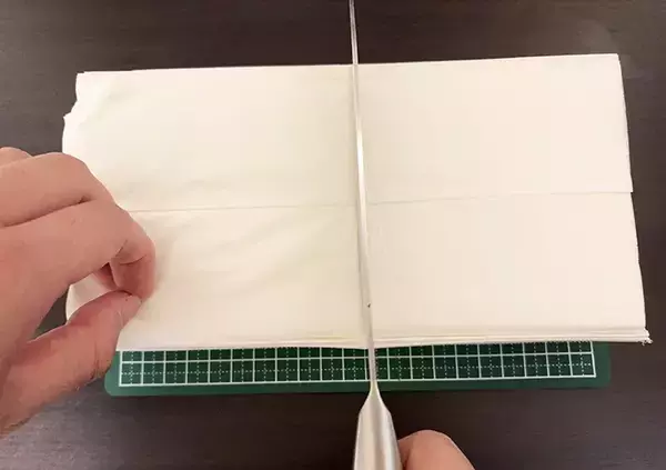 「【節約裏ワザ】ティッシュの値段が高い！　助かるアイディアに「これからはこれでいいな」」の画像