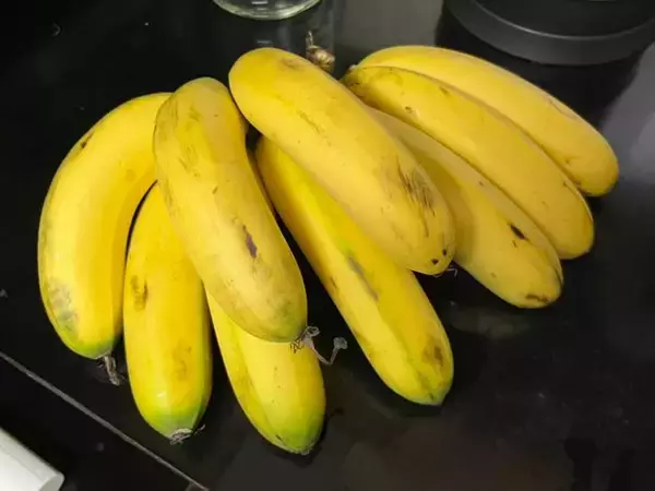 「マレーシアの『バナナ』が手のひらサイズで可愛い　地元の人の食べ方は？」の画像