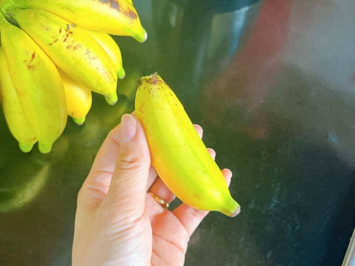 マレーシアの『バナナ』が手のひらサイズで可愛い　地元の人の食べ方は？