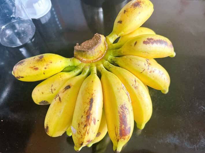 マレーシアの『バナナ』が手のひらサイズで可愛い　地元の人の食べ方は？