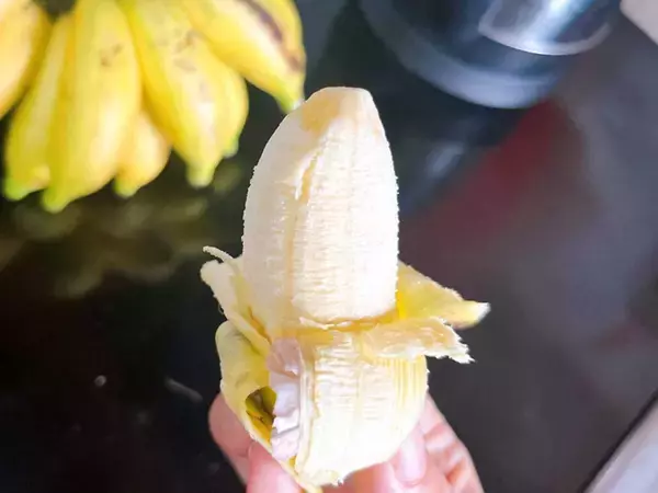 「マレーシアの『バナナ』が手のひらサイズで可愛い　地元の人の食べ方は？」の画像