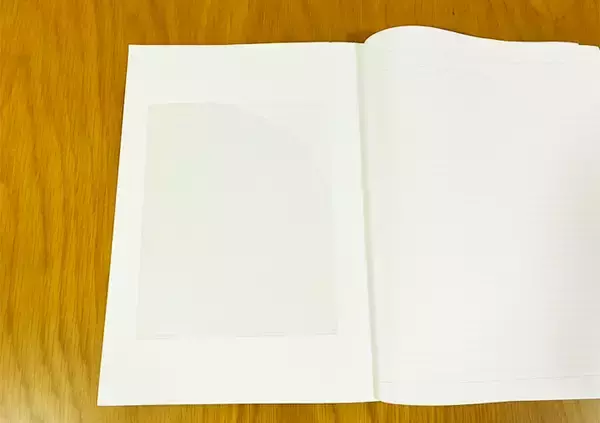 「クリアファイルを半分にカット　実用性バツグンな収納術に「使い道が広すぎる」」の画像