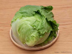 たくさん買ったレタス、すぐ食べないなら…　JA全農長野が“正しい保存法”を解説