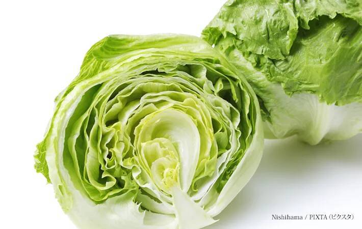 たくさん買ったレタス、すぐ食べないなら…　JA全農長野が“正しい保存法”を解説