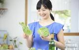 「たくさん買ったレタス、すぐ食べないなら…　JA全農長野が“正しい保存法”を解説」の画像3