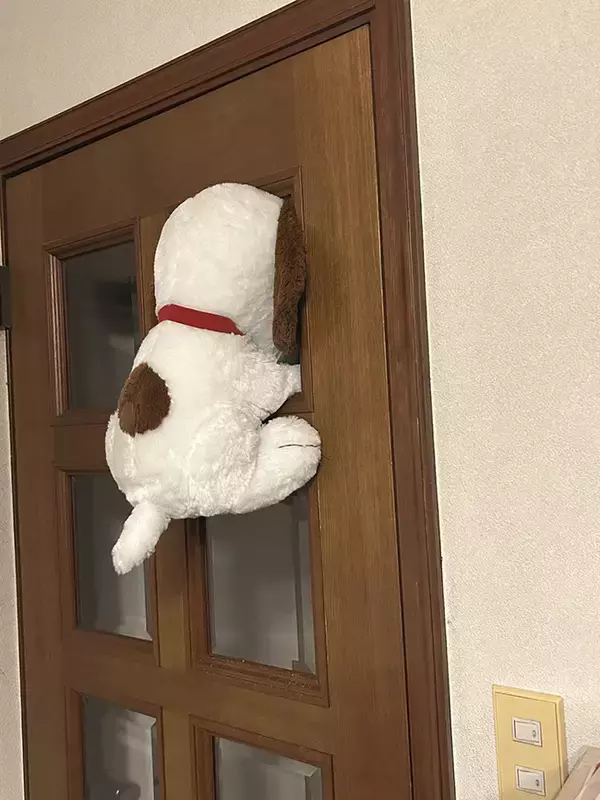 「ガラスが外れ、猫が通り始めて？　数日後の展開に「声出た」「笑いが止まらん」」の画像