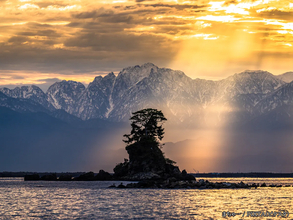 【12/20～21】年内最後の『一粒万倍日』がやってくる！　天赦日も重なる“特別な日”にできることが？