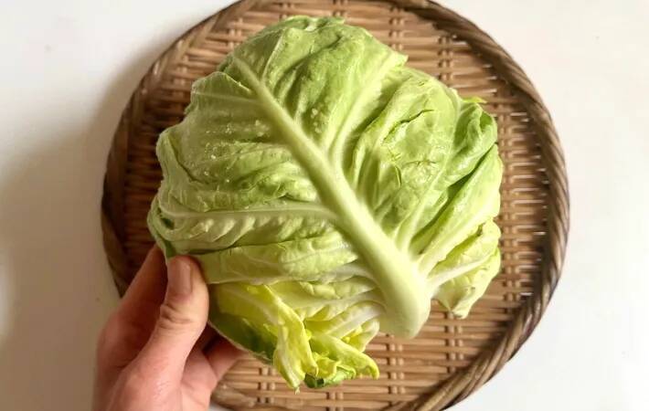 旬を楽しめるのは今だけ！　5分で作ったキャベツの簡単おかずに「息子が一気に完食」