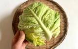 「旬を楽しめるのは今だけ！　5分で作ったキャベツの簡単おかずに「息子が一気に完食」」の画像10