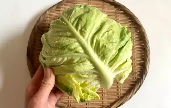 「旬を楽しめるのは今だけ！　5分で作ったキャベツの簡単おかずに「息子が一気に完食」」の画像
