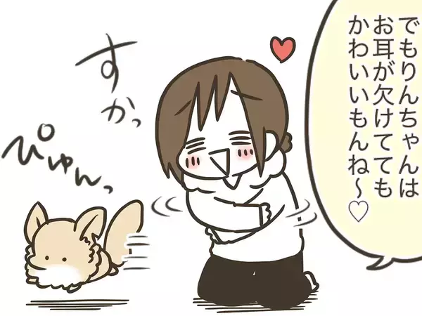 耳が欠けたチワワと実家で暮らす母親　見た目以外に『思うこと』があるようで…【連載】