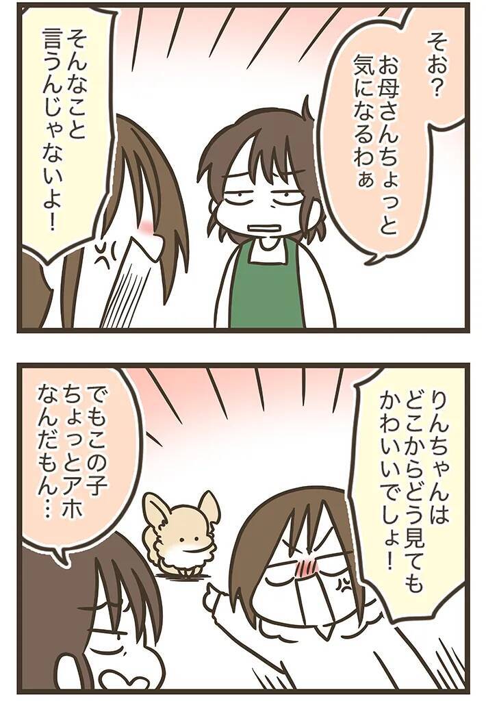 耳が欠けたチワワと実家で暮らす母親　見た目以外に『思うこと』があるようで…【連載】