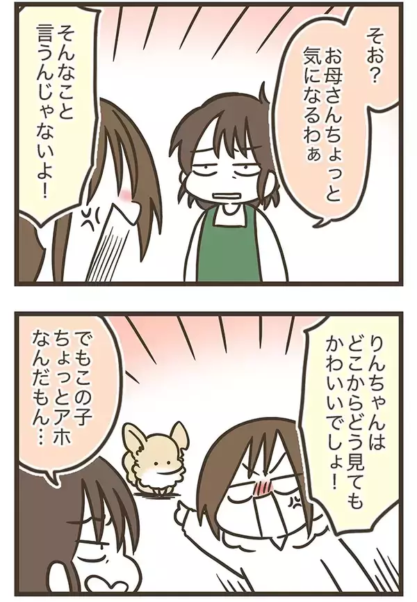 「耳が欠けたチワワと実家で暮らす母親　見た目以外に『思うこと』があるようで…【連載】」の画像