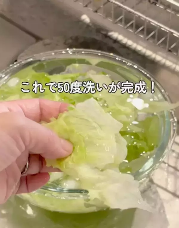 「レタスがしなしなでも？　復活テクに「そうだったのか」「やってみたい」」の画像