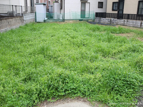 農機具店が教える『雑草』が生えにくくなる裏技　処理のコツに「目からウロコ」