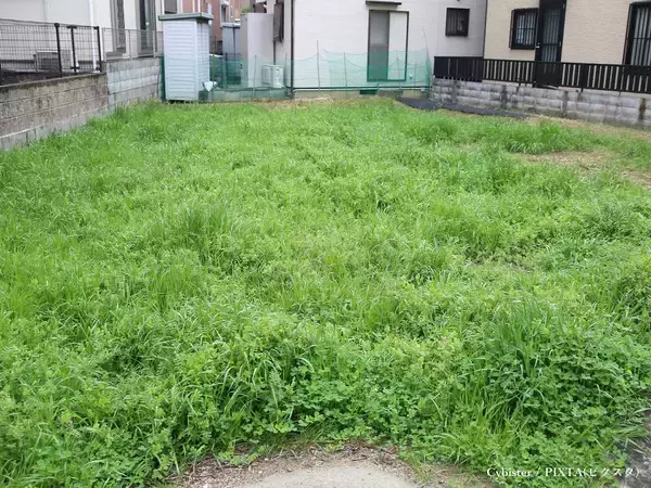 農機具店が教える『雑草』が生えにくくなる裏技　処理のコツに「目からウロコ」