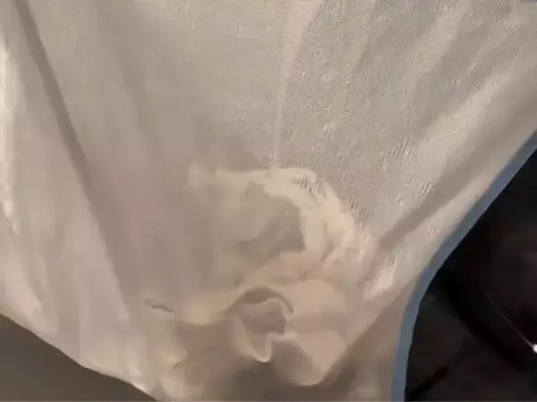 洗濯ネットに隙間があると？　衣類の摩擦リスクに「毎回そうしてた」「明日から気を付ける」