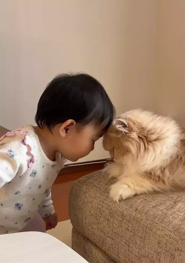 「おでこをこっつん、赤ちゃんと猫の『挨拶』に「かわいすぎる」「浄化された」」の画像