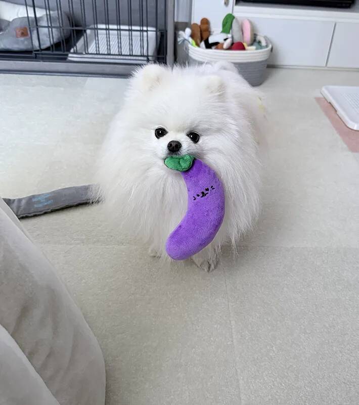 寝込む飼い主への『お見舞い』にぬいぐるみを置いた愛犬　しかし、その後…？