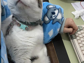 「これぞワークライフバランスの極み」 女性が紹介した『職場で一番好きな同僚』が…?