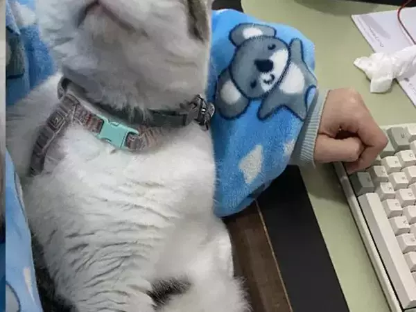 「これぞワークライフバランスの極み」　女性が紹介した『職場で一番好きな同僚』が…？