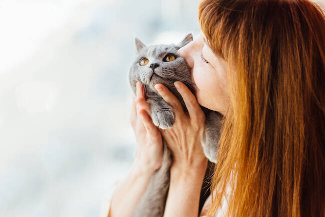 ペット一筋はイタい 恋愛をしたい人が動物を飼うときの注意点 19年6月11日 エキサイトニュース
