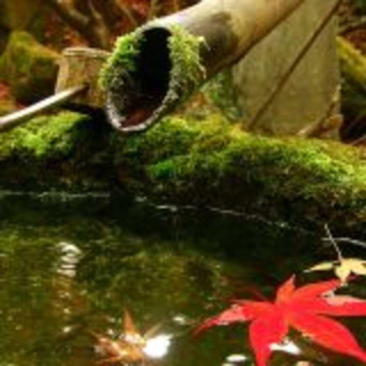 外国人はトイレの音消しを おもてなし音楽 と思っている お国で違う 音への感覚 2018年6月7日 エキサイトニュース