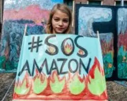 アマゾン火災 熱帯雨林が燃えても 酸素は大丈夫 2019年8月29日 エキサイトニュース