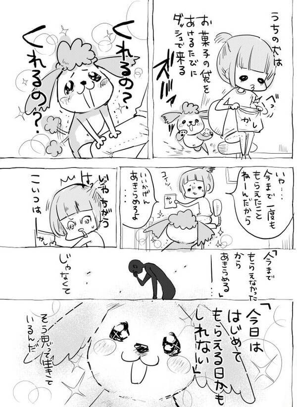 漫画 わんニャンの違いは明白 犬と猫のお菓子に対する反応の差が面白い 2017年2月15日 エキサイトニュース