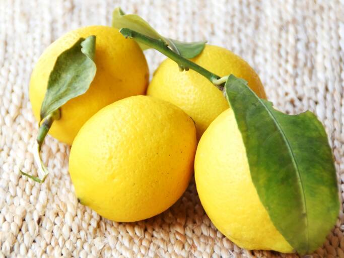 レモン生産量日本一 しまなみ海道で日本一のレモンアイランド 生口島の レモン谷 へgo 17年6月12日 エキサイトニュース
