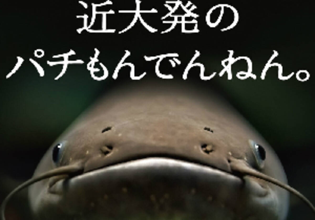 土用の丑の日を前にウナギ価格が高騰 近大の ウナギ味の養殖ナマズ が救世主に 16年7月29日 エキサイトニュース