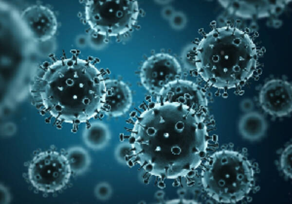 「インフルエンザウィルス」の画像検索結果