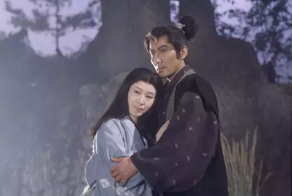 三田佳子の風格溢れる演技に魅了される！強い個性を放つ西田敏行、役所広司との共演も必見、大型時代劇スペシャル「愛に燃える戦国の女」−豊臣家の人々より−