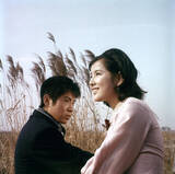 「吉永小百合×浜田光夫の"純愛コンビ"が体現する刹那的な恋愛...若かりし名優2人が新境地を開拓した「泥だらけの純情」」の画像3